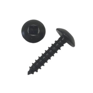 8 x 3/4" Square Drive Stainless Steel Screws, Black